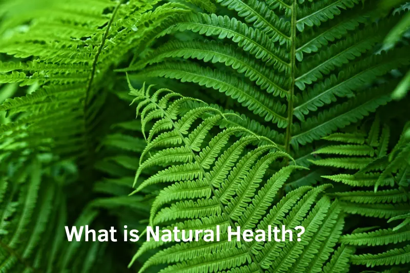 What is Natural Health?